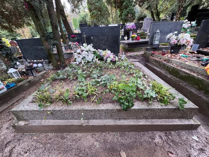 Hrobové miesto zarastené brečtanom a burinou, po vyčistení upravená plocha — potom