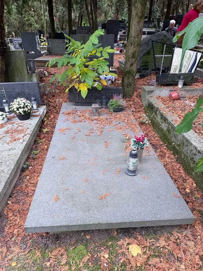 Hrob pokrytý spadnutým ihličím, po úprave s vresmi, chryzantémou a kahancami — predtým
