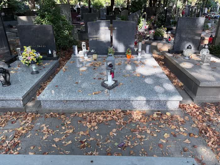 Zaprášená žulová doska so spadnutým lístím, po umytí čistý svetlý kameň — predtým